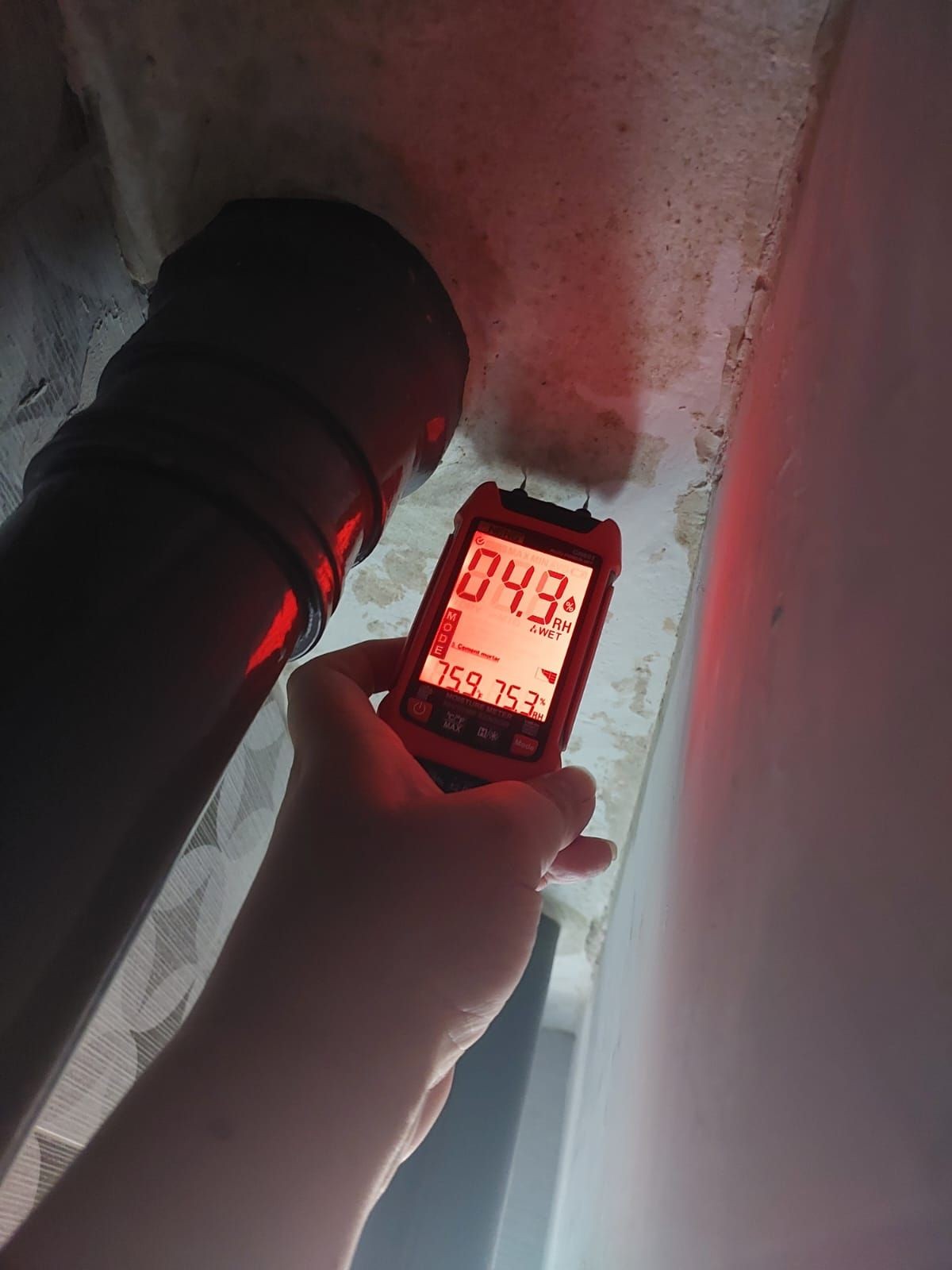 Mould and seepage Inspection 
